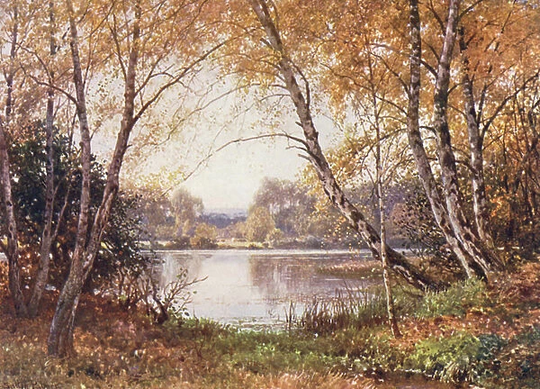 The Verge of the Pond, Royal Common (colour litho)