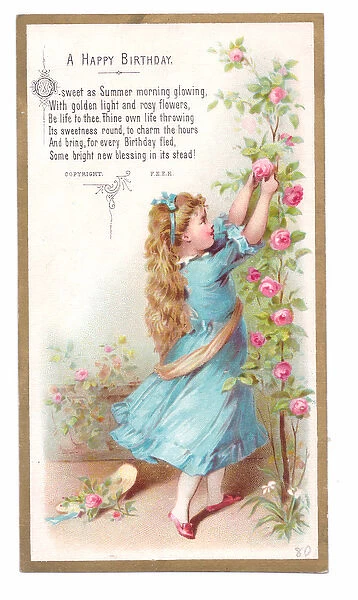 A Victorian Birthday card of a girl plucking roses from a rose bush, c