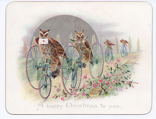 Victorian Christmas card of four owls on penny farthing bicycles, c. 1880 (colour litho)