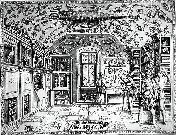 View of the museum (cabinet) of curiosites (encyclopedic museum) of the pharmacist Ferrante Imperato (1550-1631), engraving of 1678, private collection