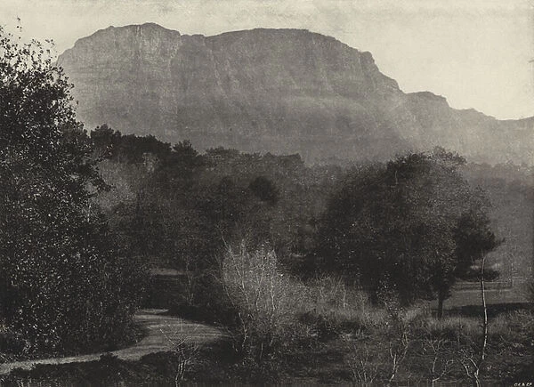 A View of the Old Mountain, from Wynberg (b  /  w photo)
