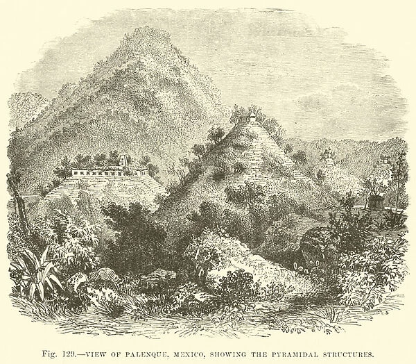 View of Palenque, Mexico, showing the pyramidal structures (engraving)
