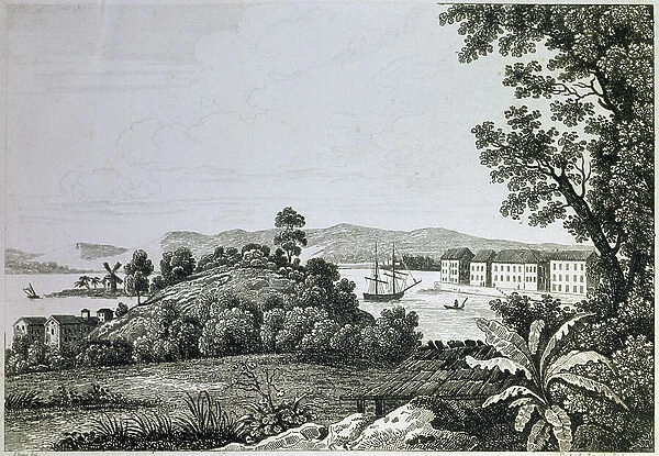 View of Pointe a Pitre in the 19th century (engraving)