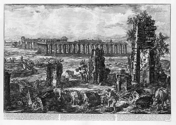 View of the Temples of Paestum (litho)