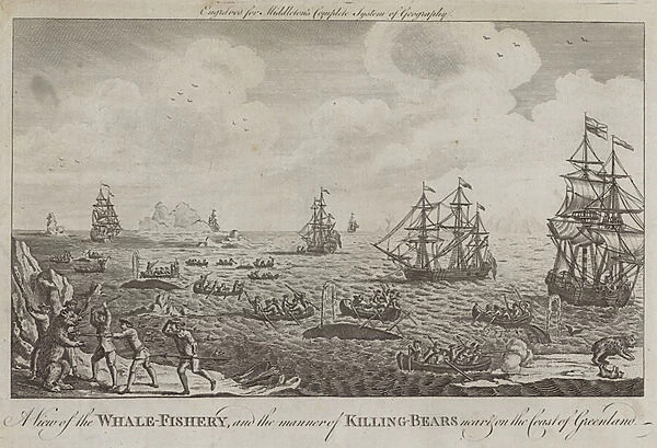 A View of the Whale Fishery and the Manner of Killing Bears near and on the Coast of Greenland (engraving)