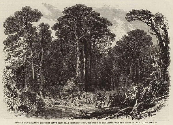 Views in New Zealand, the Great South Road, near Shepherds Bush, the Scene of the Attack upon the Escort on 17 July (engraving)