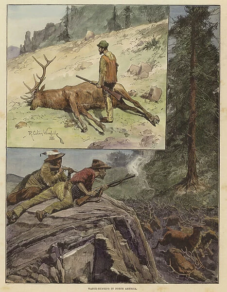 Wapiti hunting in North America (coloured engraving)