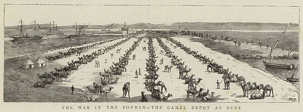 The War in the Soudan, the Camel Depot at Suez (engraving)
