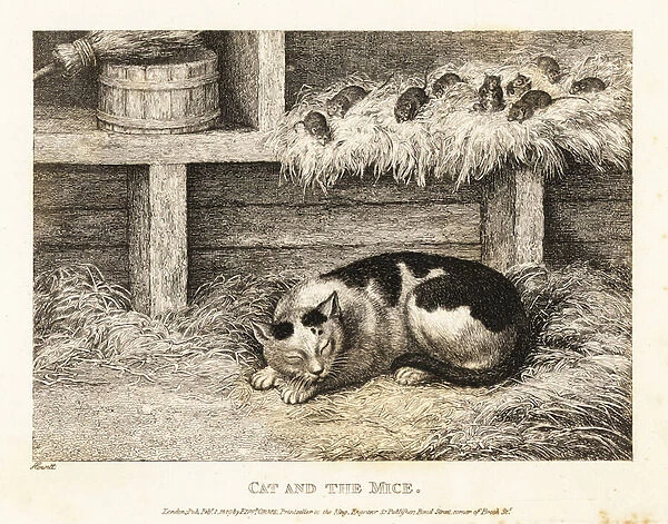 Wary mice above a cat pretending to sleep. 1811 (etching)