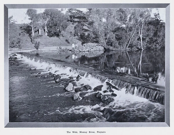 The Weir, Murray River, Pinjarra (b  /  w photo)