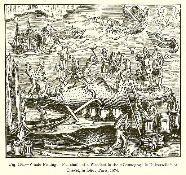 Whale-Fishing (engraving)