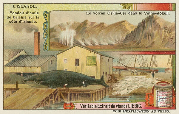 Whale oil factory and a volcano in the Vatna glacier (chromolitho)
