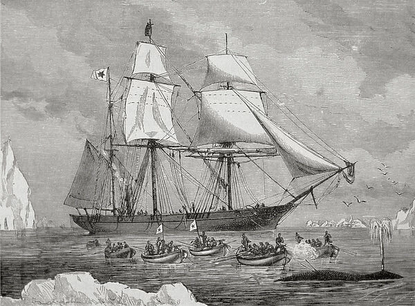 A whaler with boat fast to a fish (with the gun harpoon), 1880s (engraving)