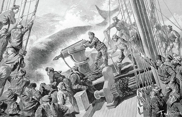 Whalers with a harpoon gun, historic wood engraving, about 1897