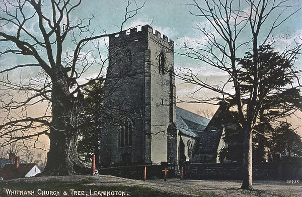 Whitnash Church and Tree, Leamington (colour photo)