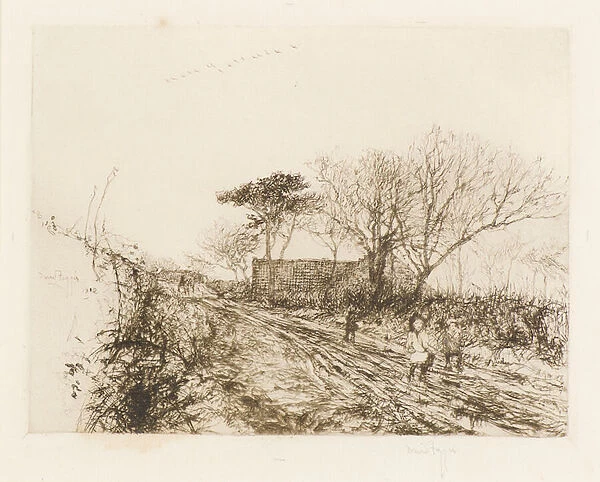 The Wild Geese, 1912 (etching)