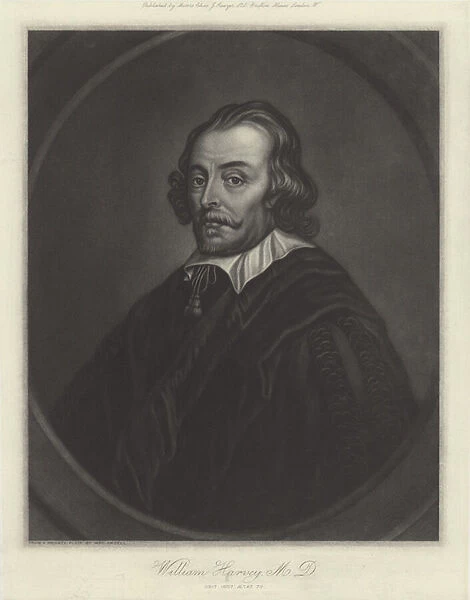 William Harvey, English physician (litho)