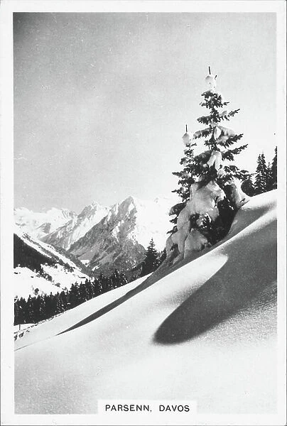 Winter Scenes, 1937: Parsenn, Davos (b / w photo)