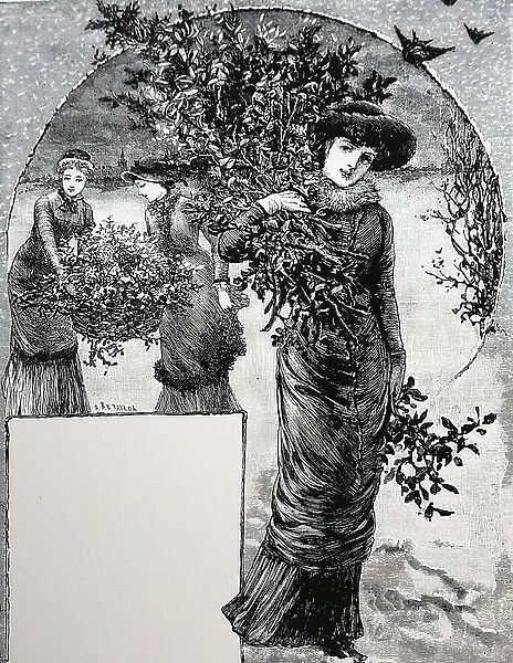 Women collecting holly and greenery for Christmas decorations, 1881