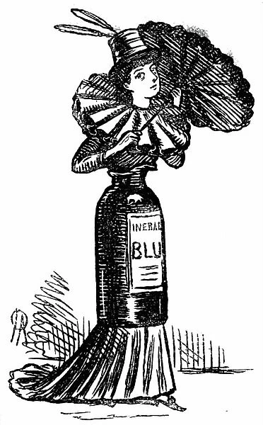 Women's Suffrage, Female political emancipation, 1880