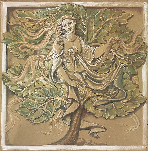 Wood Nymph, (bodycolour on brown paper)