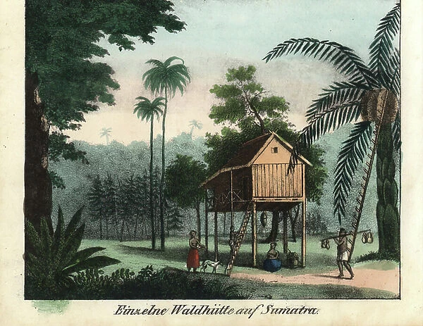 Wooden house on stilts in the tropical forest of Sumatra Island (Indonesia), circa 1800. Lithography for the book: ' Galerie complete en tableaux fideles des peuples d'Asie' by Friedrich Wilhelm Goedsche (1785-1863), edition Meissen (Germany)