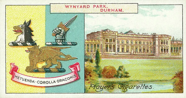 Wynyard Park, Durham, Metuenda Corolla Draconis, The Marquess Of Londonderry (colour litho)