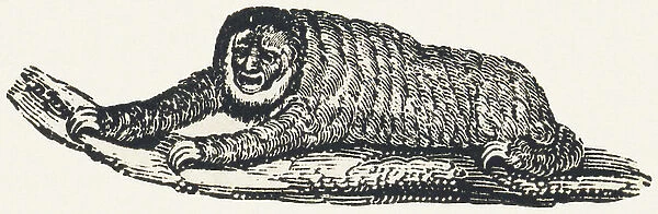 Yarque, 1850 (engraving)