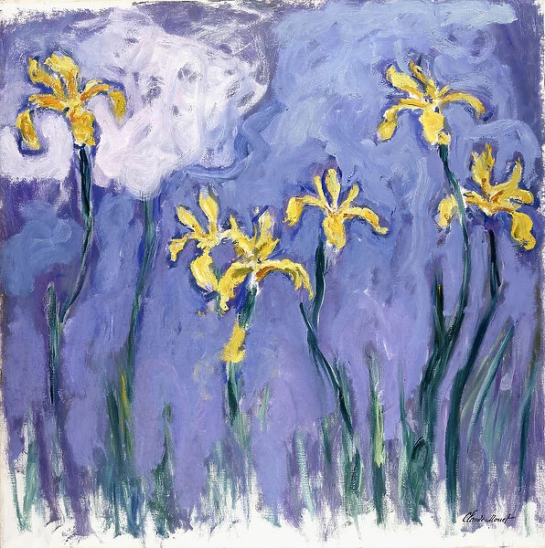 Yellow Iris with Pink Cloud, c. 1918 (oil on canvas)