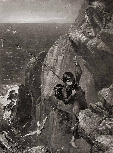 Young boy gathering eggs from a nest set in a rocky cliff face in the mid 19th century. From Bibby's Annual published 1910