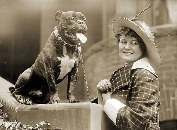 Young girl and her Bull Terrier c. 1915 (b / w photo)