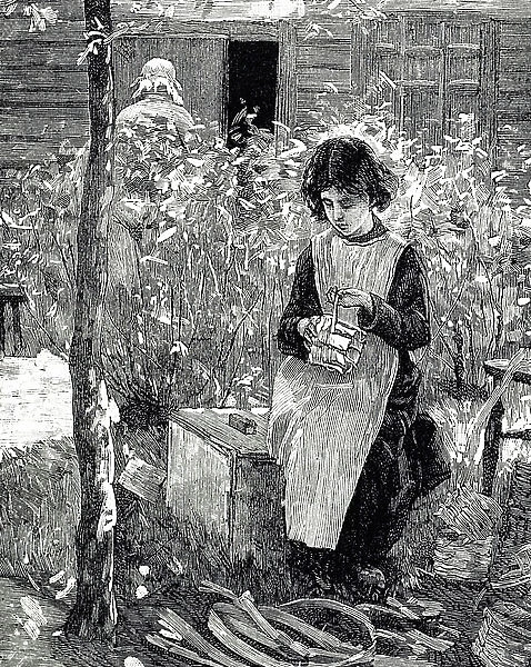 A young girl making punnets for strawberries