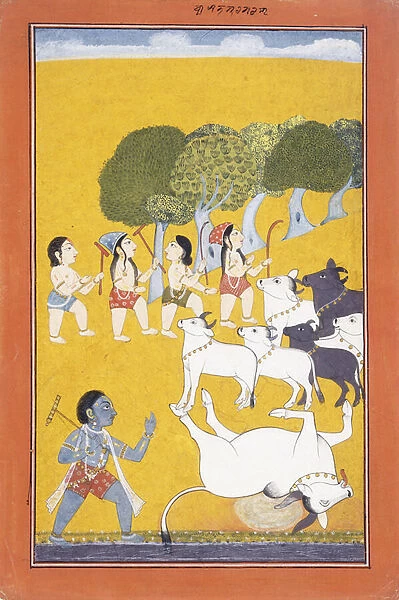 The Young Krishna Kills the Demon Vatsasura, who came in the Guise of a Calf, c. 1730-1740 (w  /  c & ink on orange paper)
