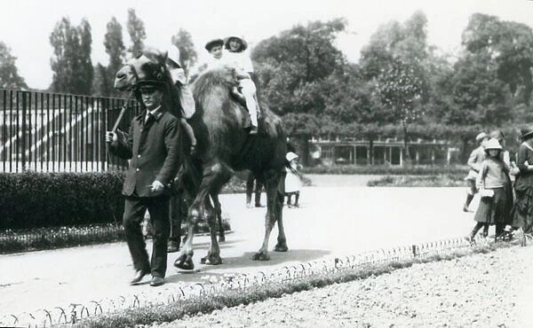 Two young visitors riding a Bactrian camel, led by a keeper, at London Zoo