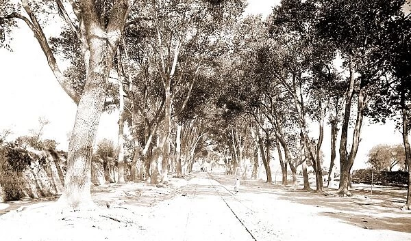 The Alameda, Aguas Calientes, Jackson, William Henry, 1843-1942, Streets, Mexico