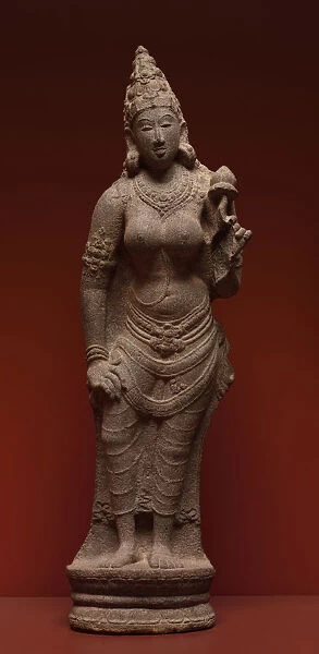 Bhu 900-950 South India Tamil Nadu Pudokkatai