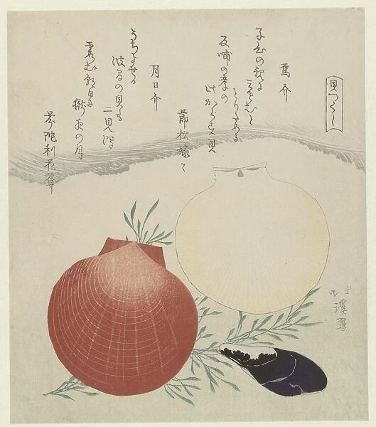 Freshwater mussel Japanese sun-and-moon mantelpiece Karasugai tsukihigai