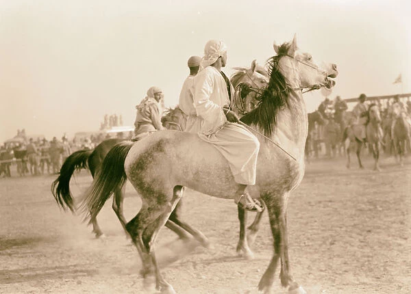 Race meeting horse camel Beersheba start horses taking