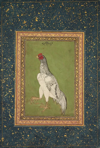 Rooster 1620 India Mughal 17th century Opaque watercolor