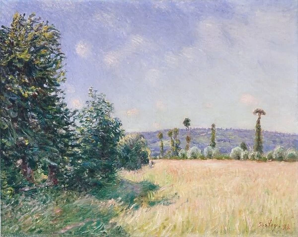 Sahurs Meadows Morning Sun 1894 Oil canvas 28 3  /  4 x 36 1  /  4