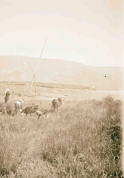 Scene northern Palestine 1898
