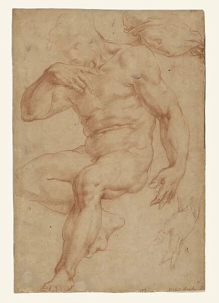 Studies Male Nude Drapery Hand Giorgio Vasari