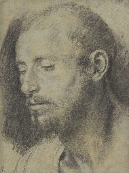 Study Head Bearded Man Giovanni Girolamo Savoldo