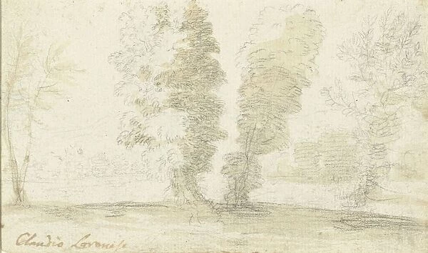 A tall trees front open field Claude Lorrain
