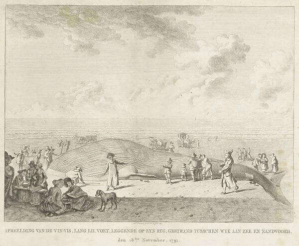 Whale stranded in Wijk aan Zee, 1791, The Netherlands, Leendert Overbeek, 1792