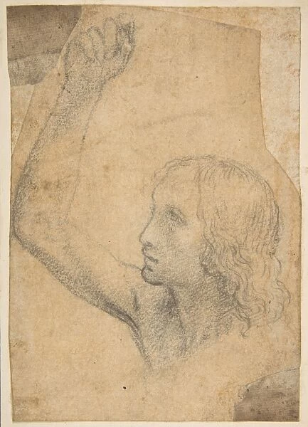 Youth Right Arm Raised Shoulder-Length Portrayal