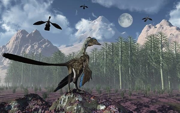 An Archaeopteryx standing at the edge of a forest