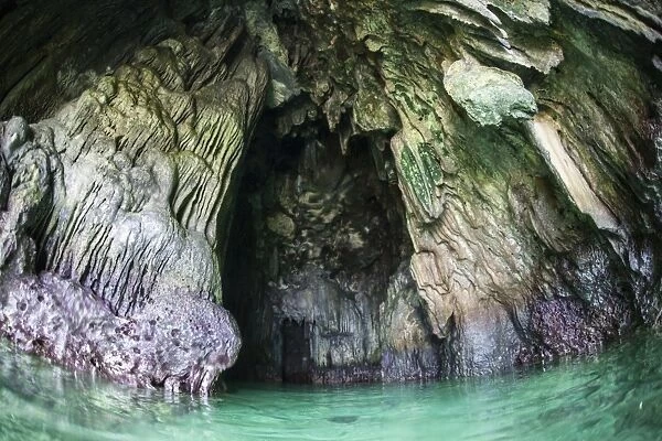 A cave has formed inside a limestone island in Raja Ampat