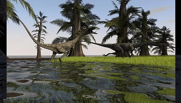 Two Coelophysis dinosaurs running through swampy water