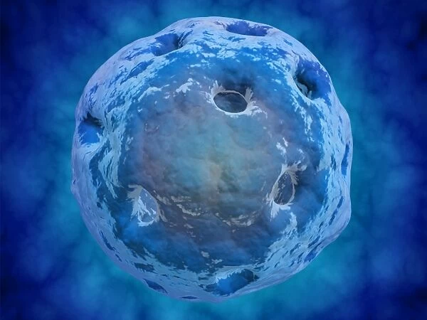 Conceptual image of cell nucleus